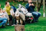 Bockusflog-201